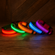 Dog Led Collar