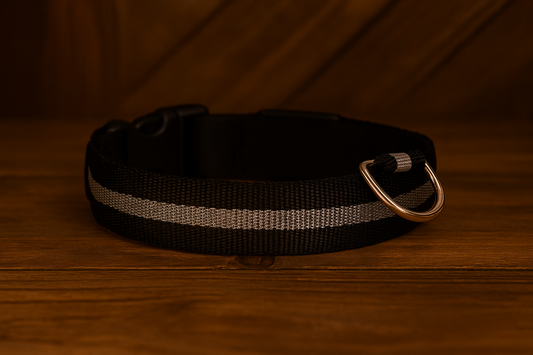 Dog Led Collar