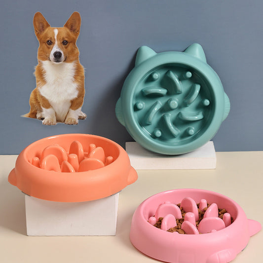 Anti-Gulping Slow Feeder Bowl for Dogs & Cats