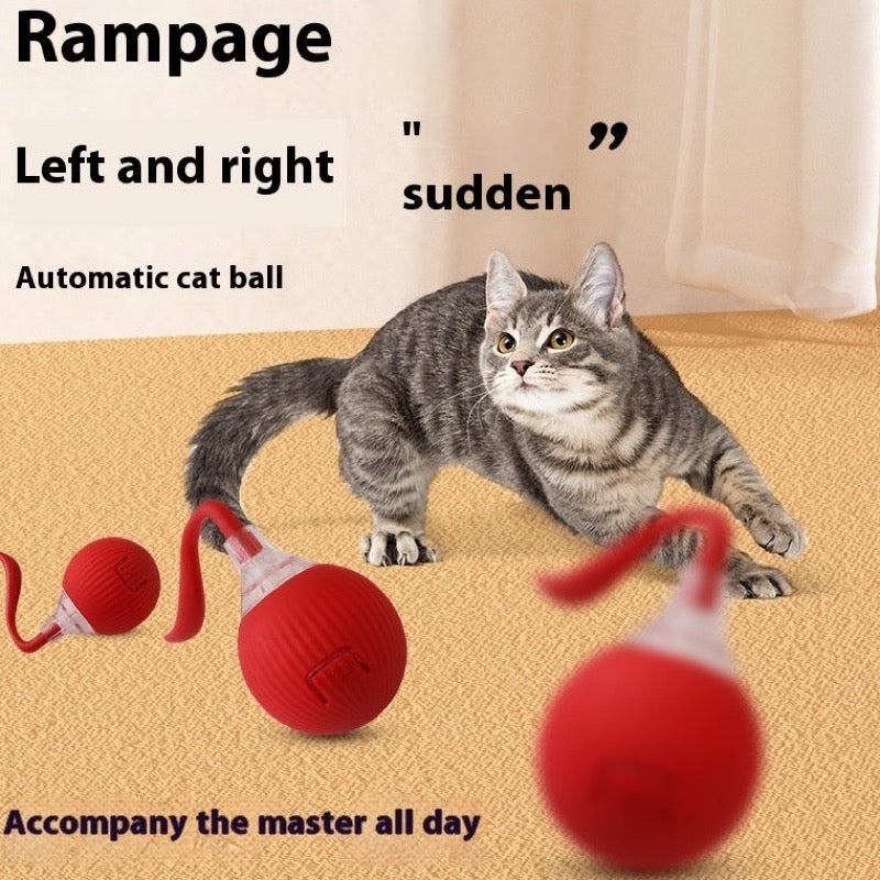 auto motion ball toy for cats and dogs shown from an angled product view