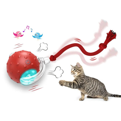 interactive ball toy close-up variant for cats and dogs
