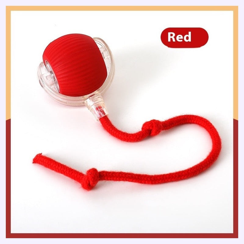 interactive ball toy red color variant with rope tail
